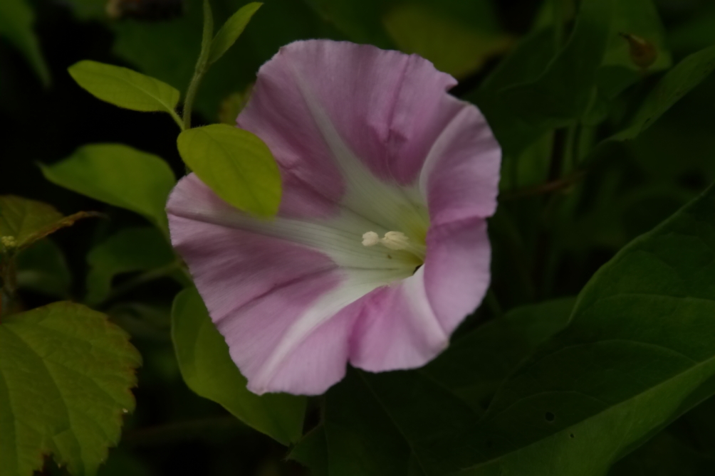 2012 06 01 4874